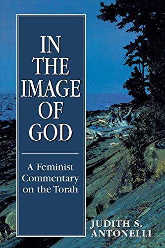 9780765799524: In the Image of God: A Feminist Commentary on the Torah