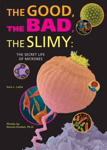 Beispielbild fr The Good, the Bad, the Slimy : The Secret Life of Microbes zum Verkauf von Better World Books: West