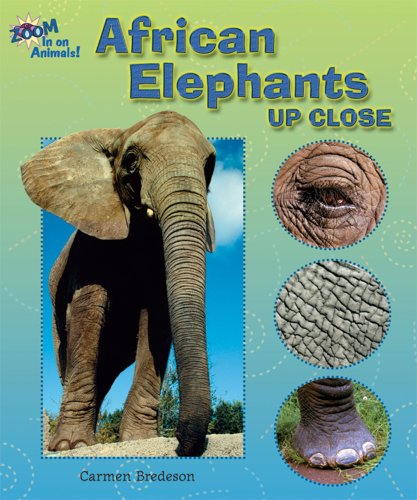 Imagen de archivo de African Elephants Up Close (Zoom in on Animals!) a la venta por SecondSale