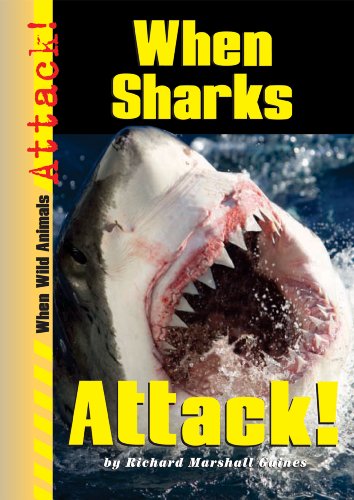Stock image for When Sharks Attack! for sale by ThriftBooks-Dallas