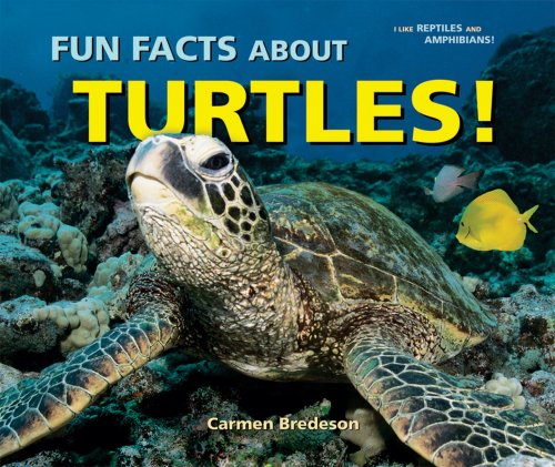 Imagen de archivo de Fun Facts About Turtles! (I Like Reptiles and Amphibians!) a la venta por Jenson Books Inc