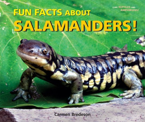 Beispielbild fr Fun Facts about Salamanders! zum Verkauf von Better World Books