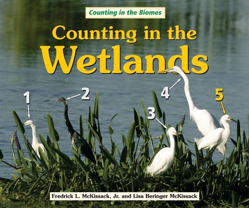 Counting in the Wetlands (Counting in the Biomes) (9780766029934) by McKissack, Fredrick; Mckissack, Lisa Beringer