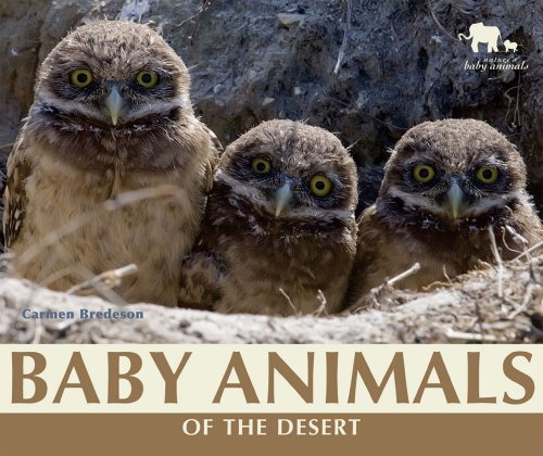Baby Animals of the Desert (Nature's Baby Animals) (9780766030077) by Bredeson, Carmen