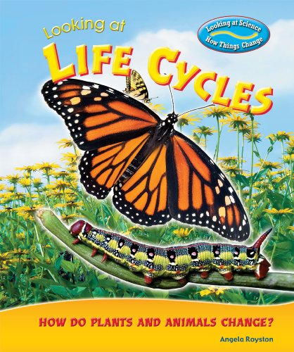 Imagen de archivo de Looking at Life Cycles: How Do Plants and Animals Change? (Looking at Science: How Things Change) a la venta por HPB-Diamond