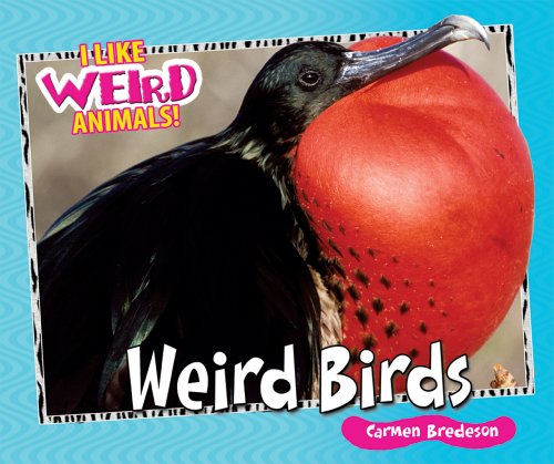 Weird Birds (I Like Weird Animals!) (9780766031241) by Bredeson, Carmen