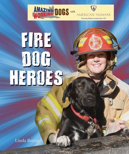 Imagen de archivo de Fire Dog Heroes a la venta por Better World Books