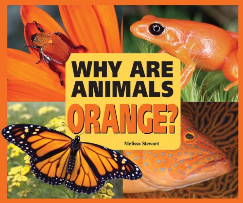 Beispielbild fr Why Are Animals Orange? zum Verkauf von Better World Books
