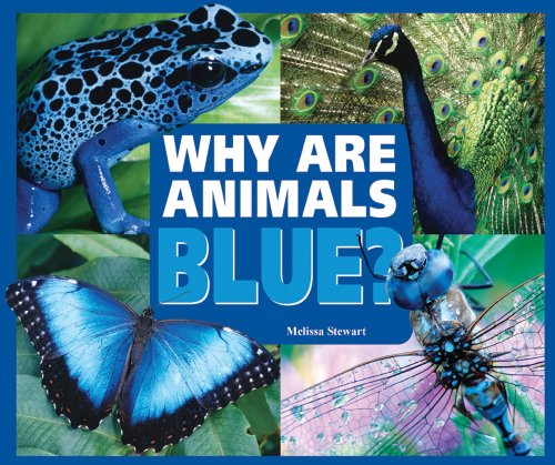 9780766032514: Why are Animals Blue? (Rainbow of Animals)