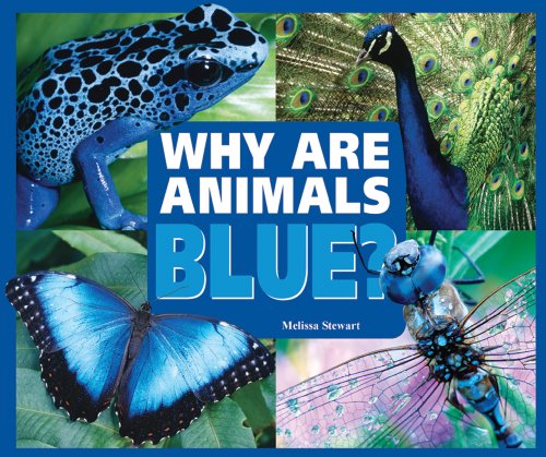 Stock image for Why Are Animals Blue? for sale by Better World Books