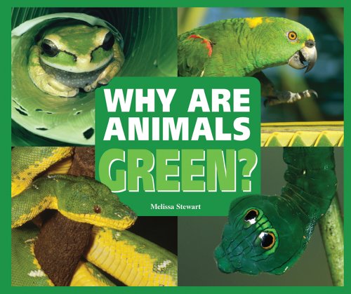 Why Are Animals Green? (Rainbow of Animals) (9780766032521) by Stewart, Melissa