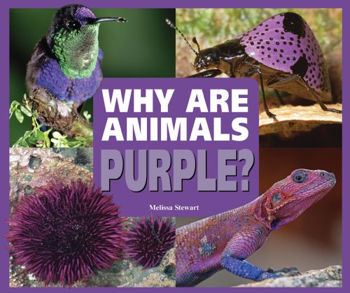 Stock image for Why Are Animals Purple? (Rainbow of Animals) for sale by SecondSale