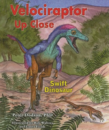 Imagen de archivo de Velociraptor up Close : Swift Dinosaur a la venta por Better World Books