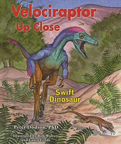Stock image for Velociraptor up Close : Swift Dinosaur for sale by Better World Books