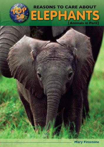 Imagen de archivo de Top 50 Reasons to Care about Elephants : Animals in Peril a la venta por Better World Books: West