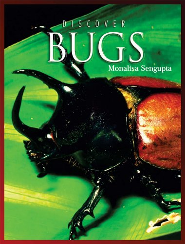 Beispielbild fr Discover Bugs (Discover Animals) zum Verkauf von Reuseabook