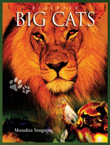 Stock image for Discover Big Cats for sale by Better World Books