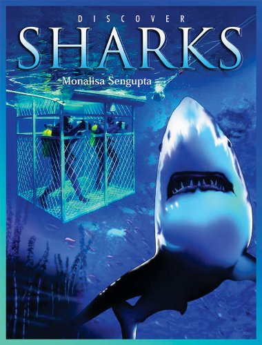 Beispielbild fr Discover Sharks zum Verkauf von Better World Books