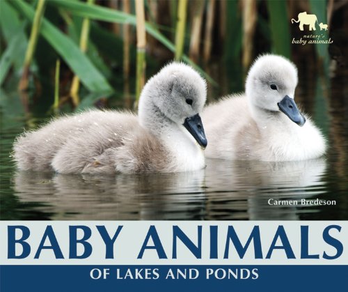 9780766035638: Baby Animals of Lakes and Ponds