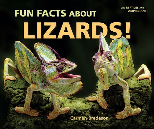 Beispielbild fr Fun Facts about Lizards! zum Verkauf von Better World Books