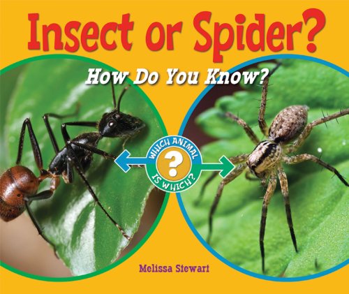 Beispielbild fr Insect or Spider? : How Do You Know? zum Verkauf von Better World Books