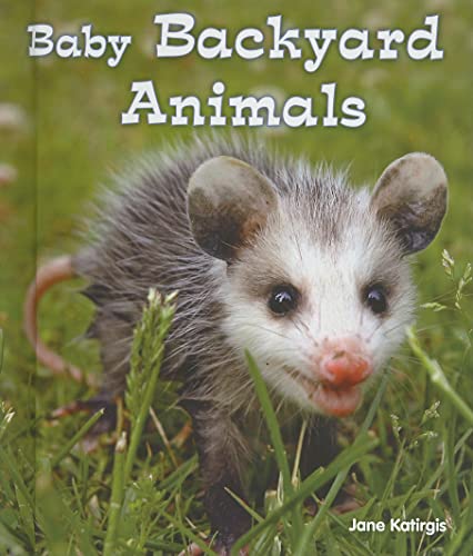 Stock image for Baby Backyard Animals for sale by Better World Books: West