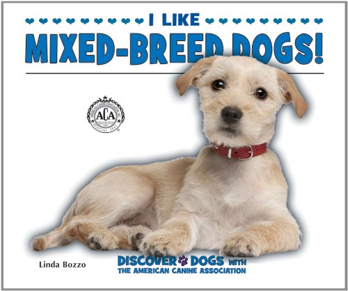 Beispielbild fr I Like Mixed-Breed Dogs! zum Verkauf von Better World Books