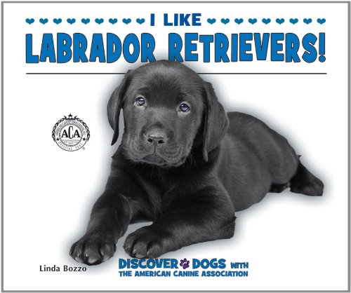Stock image for I Like Labrador Retrievers! for sale by Better World Books