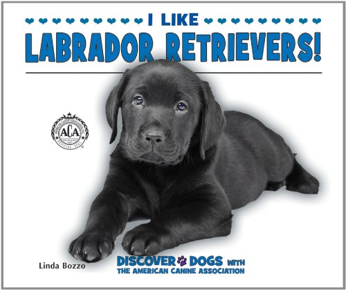 9780766038486: I Like Labrador Retrievers! (Discover Dogs With the American Canine Association)