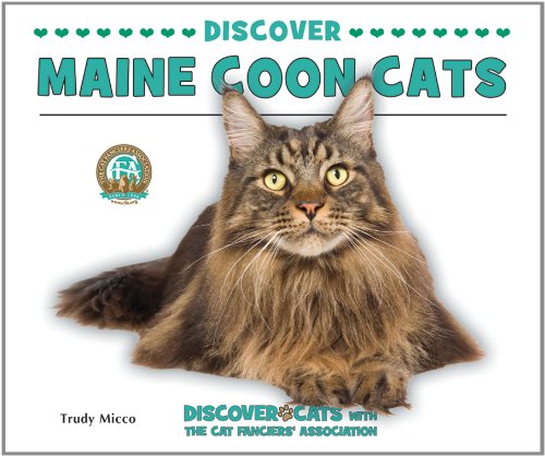 Beispielbild fr Discover Maine Coon Cats zum Verkauf von Better World Books