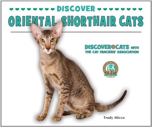 9780766038530: Discover Oriental Shorthair Cats
