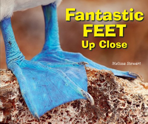 9780766038905: Fantastic Feet Up Close (Animal Bodies Up Close)