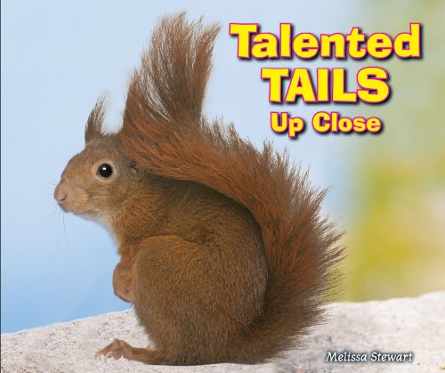 Talented Tails Up Close (Animal Bodies Up Close) (9780766038936) by Stewart, Melissa