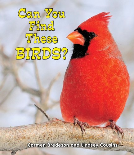 Stock image for Can You Find These Birds? for sale by Better World Books