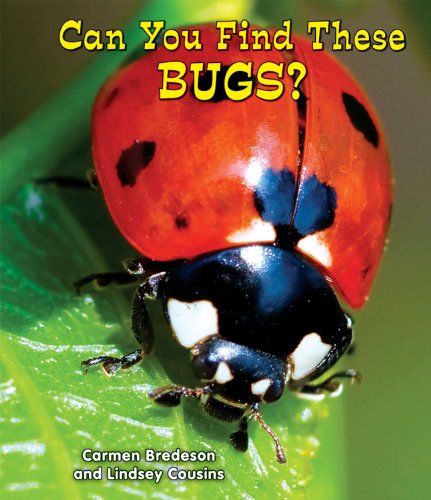 Beispielbild fr Can You Find These Bugs? zum Verkauf von Revaluation Books
