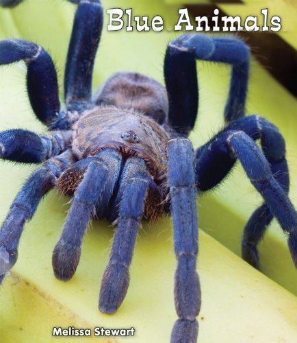 Stock image for Blue Animals for sale by Better World Books