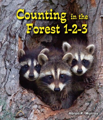 Beispielbild fr Counting in the Forest 1-2-3 zum Verkauf von Better World Books: West