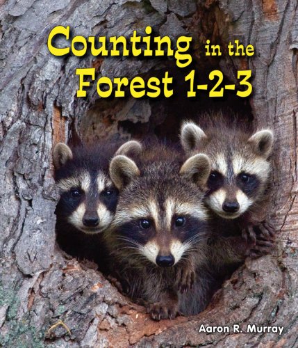 Stock image for Counting in the Forest 1-2-3 for sale by Better World Books: West
