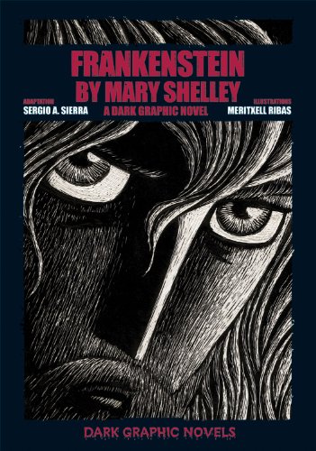 Stock image for Frankenstein by Mary Shelley : A Dark Graphic Novel for sale by Better World Books