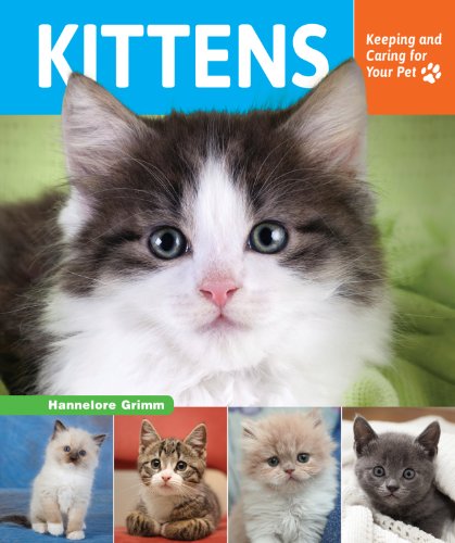 Stock image for Kittens : Keeping and Caring for Your Pet for sale by Better World Books: West