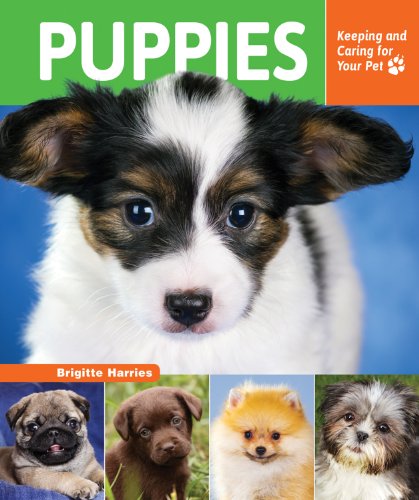 Imagen de archivo de Puppies : Keeping and Caring for Your Pet a la venta por Better World Books