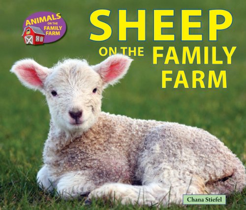 Stock image for Sheep on the Family Farm for sale by Better World Books