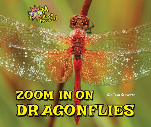 9780766042124: Zoom in on Dragonflies (Zoom in on Insects!)