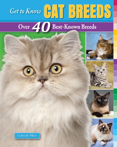 Stock image for Get to Know Cat Breeds: Over 40 Best-Known Breeds (Get to Know Cat, Dog, and Horse Breeds) for sale by -OnTimeBooks-