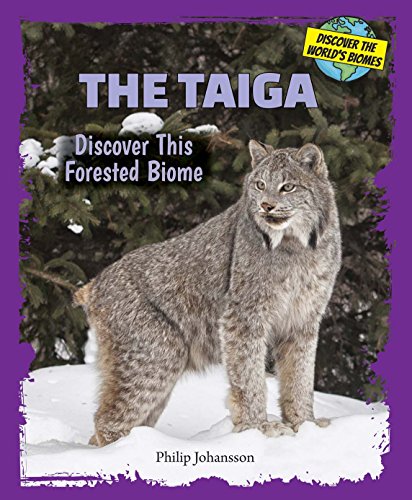 Beispielbild fr The Taiga : Discover This Forested Biome zum Verkauf von Better World Books