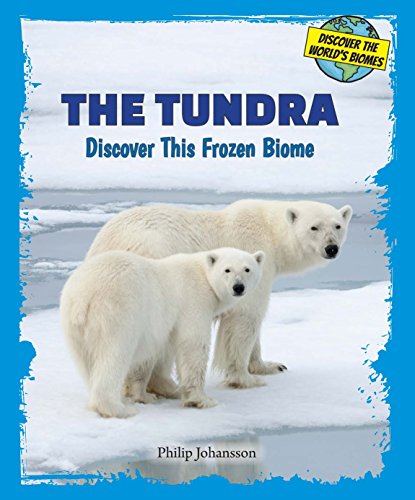 Beispielbild fr The Tundra : Discover This Frozen Biome zum Verkauf von Better World Books