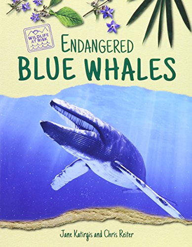 Imagen de archivo de Endangered Blue Whales a la venta por Better World Books