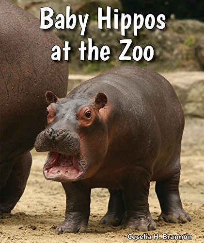 Imagen de archivo de Baby Hippos at the Zoo a la venta por Better World Books