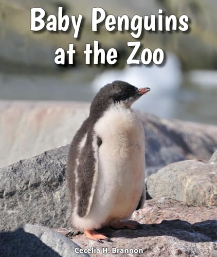 Imagen de archivo de Baby Penguins at the Zoo a la venta por Better World Books: West