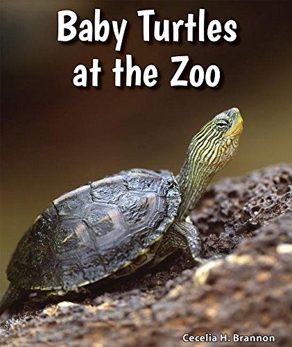 Beispielbild fr Baby Turtles at the Zoo zum Verkauf von Better World Books